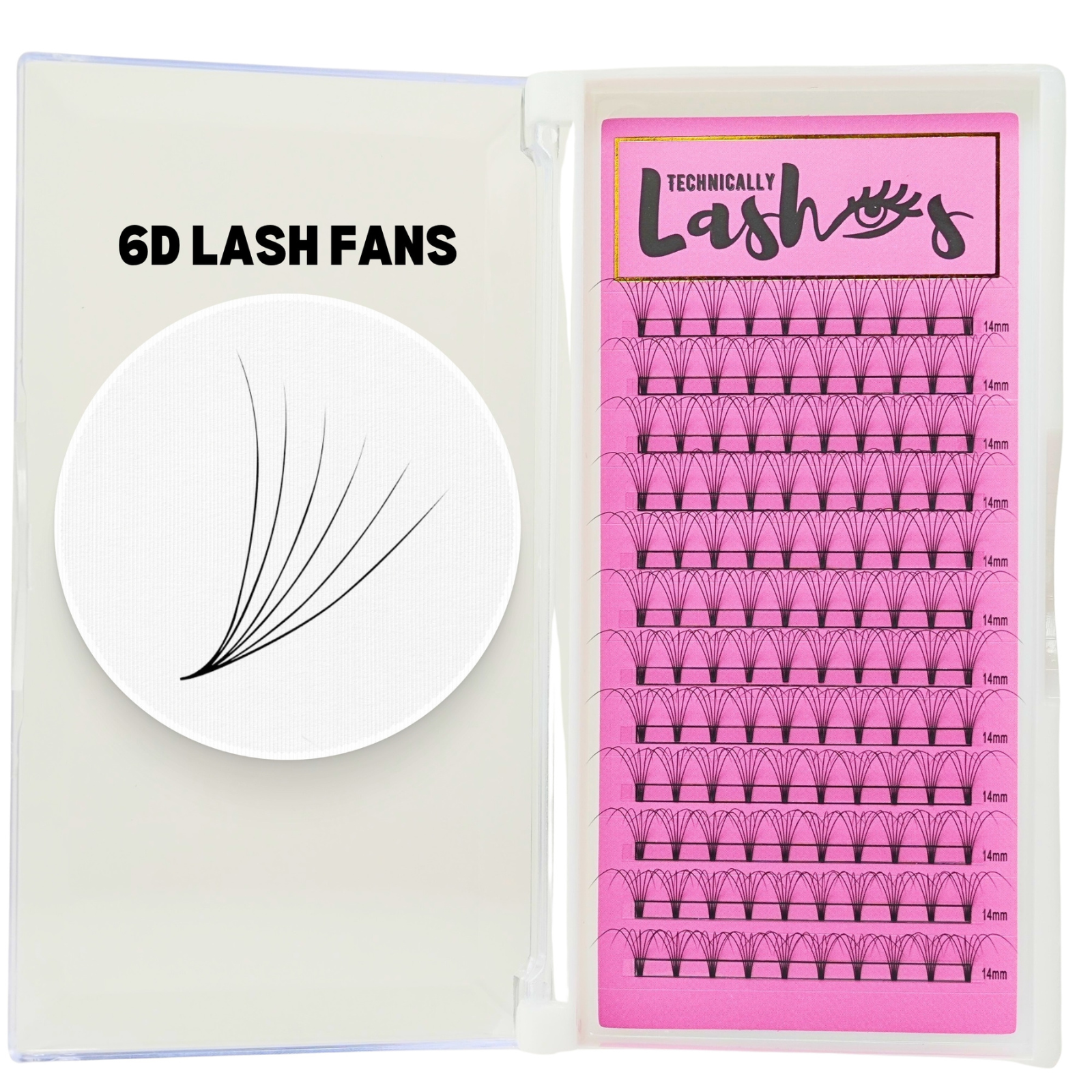 6D LASHES